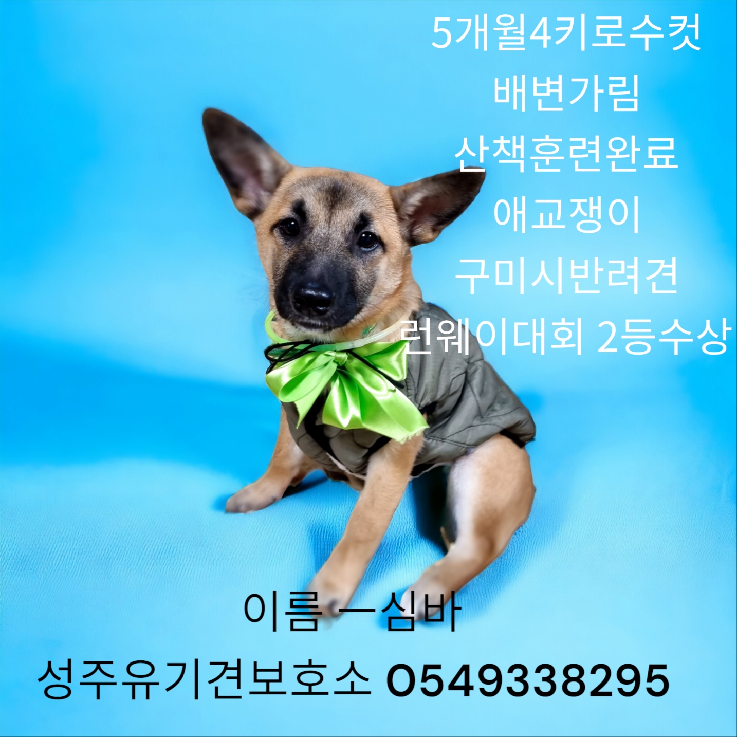 성주유기동물보호센터_447521202300379